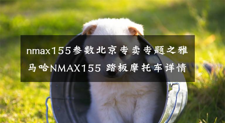 nmax155参数北京专卖专题之雅马哈NMAX155 踏板摩托车详情介绍 售价25,800-27,800元