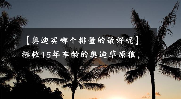 【奥迪买哪个排量的最好呢】拯救15年车龄的奥迪草原狼，不惜成本也要修