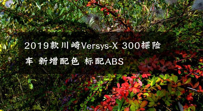 2019款川崎Versys-X 300探险车 新增配色 标配ABS