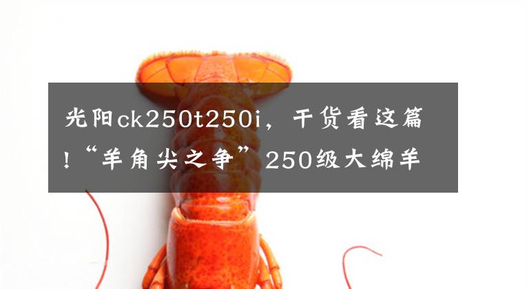 光阳ck250t250i,干货看这篇!“羊角尖之争”250级大绵羊运动踏板摩托车盘点