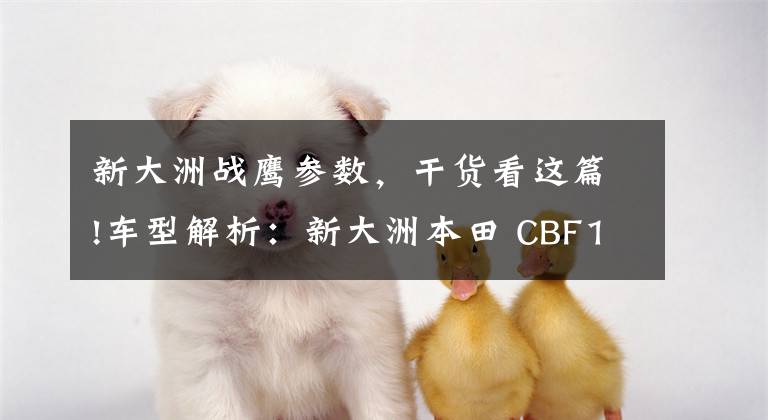 新大洲战鹰参数,干货看这篇!车型解析:新大洲本田 CBF190X(战鹰)