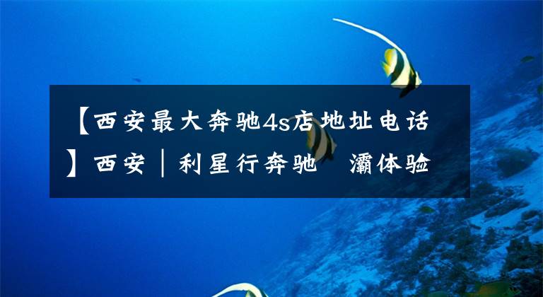 【西安最大奔驰4s店地址电话】西安|利星行奔驰浐灞体验中心盛大开业