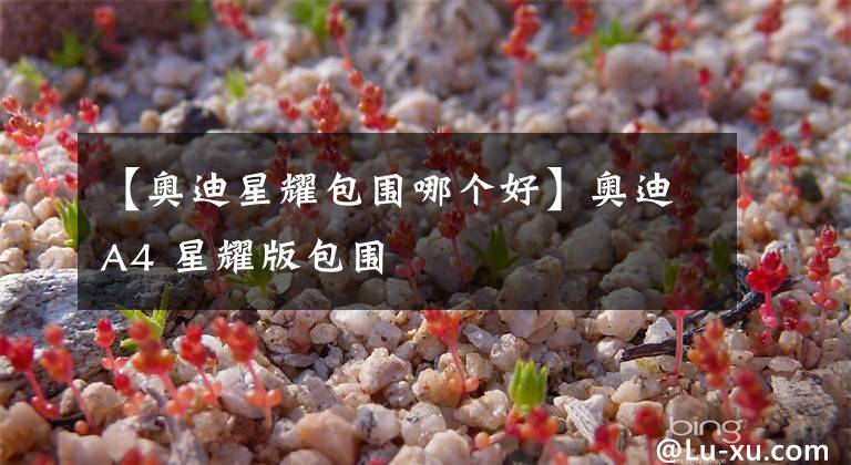 【奥迪星耀包围哪个好】奥迪A4 星耀版包围