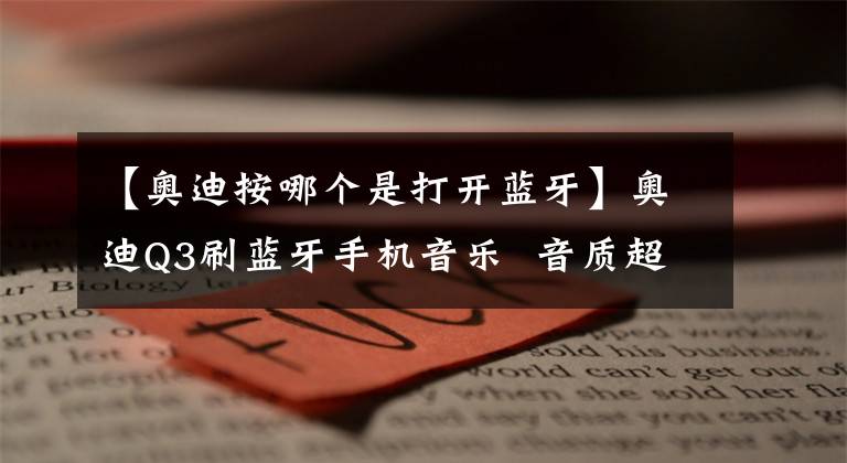 【奥迪按哪个是打开蓝牙】奥迪Q3刷蓝牙手机音乐 音质超好！