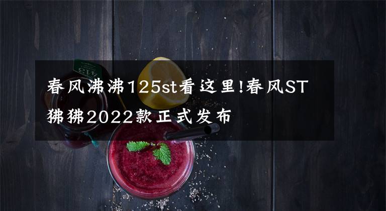 春风沸沸125st看这里!春风ST狒狒2022款正式发布