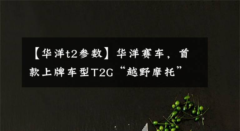 【华洋t2参数】华洋赛车,首款上牌车型T2G“越野摩托” 现身上海摩展