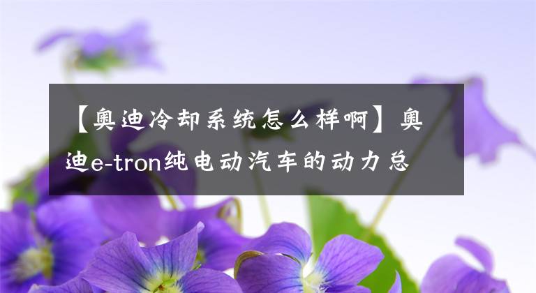 【奥迪冷却系统怎么样啊】奥迪e-tron纯电动汽车的动力总成技术详细解析（上期）