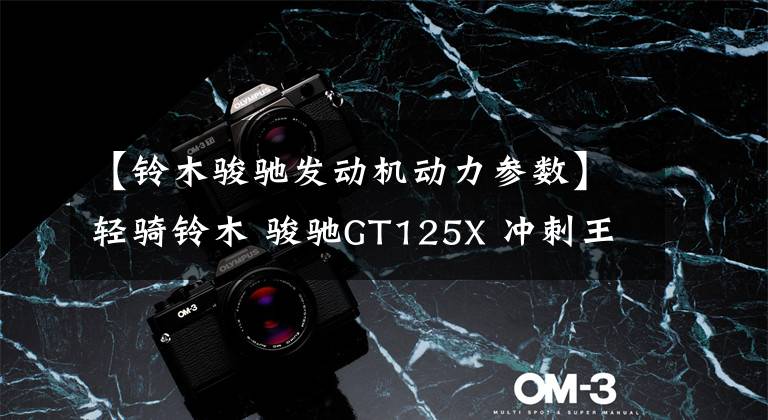 【铃木骏驰发动机动力参数】轻骑铃木 骏驰GT125X 冲刺王 0.7万元