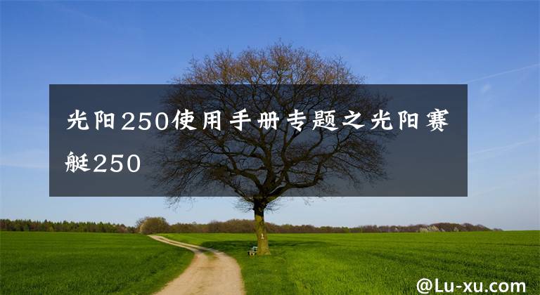 光阳250使用手册专题之光阳赛艇250