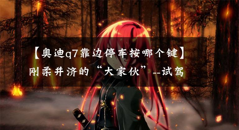 【奥迪q7靠边停车按哪个键】刚柔并济的“大家伙”--试驾2015款奥迪Q7