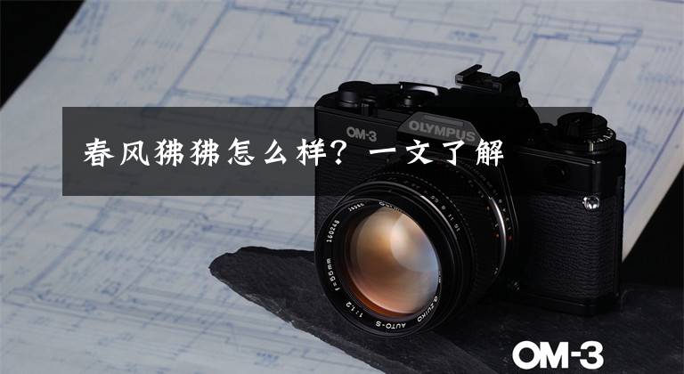 春风狒狒怎么样?一文了解