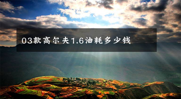03款高尔夫1.6油耗多少钱