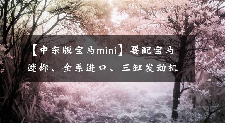 【中东版宝马mini】要配宝马迷你、全系进口、三缸发动机卖19万,富家女的心态很好。