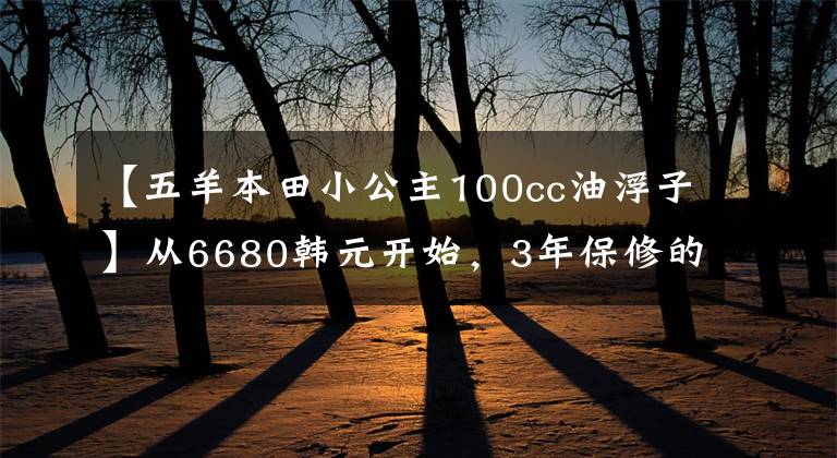 【五羊本田小公主100cc油浮子】从6680韩元开始，3年保修的欧阳-本田“小公主”熙云100正式公布
