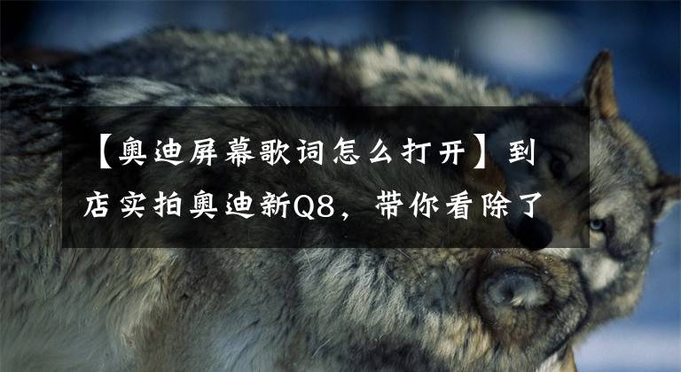 【奥迪屏幕歌词怎么打开】到店实拍奥迪新Q8，带你看除了性能以外的其他亮点