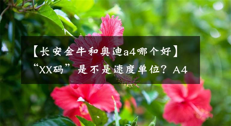 【长安金牛和奥迪a4哪个好】“XX码”是不是速度单位?A4和金牛座怎么选?