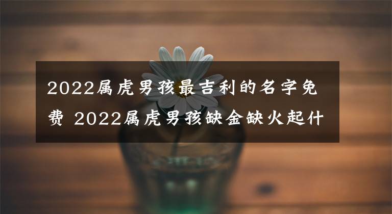 2022属虎男孩最吉利的名字免费 2022属虎男孩缺金缺火起什么名字