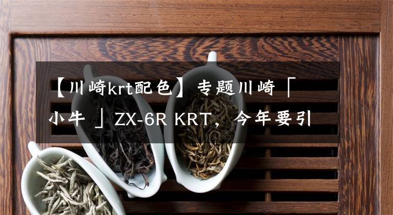 【川崎krt配色】专题川崎「 小牛 」ZX-6R KRT,今年要引进?