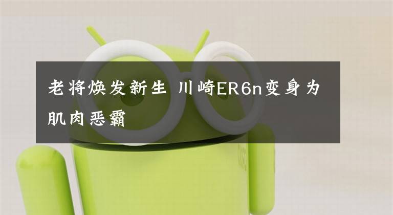 老将焕发新生 川崎ER6n变身为肌肉恶霸