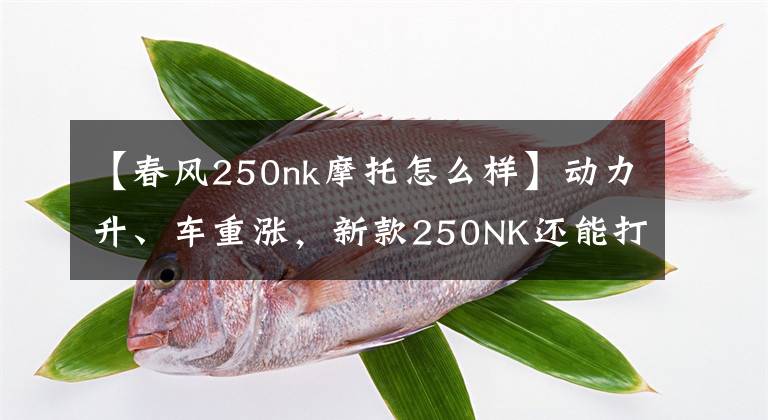 【春风250nk摩托怎么样】动力升、车重涨，新款250NK还能打吗？