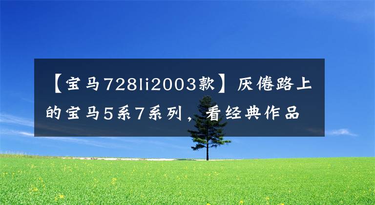 【宝马728li2003款】厌倦路上的宝马5系7系列,看经典作品——E38 728Li。