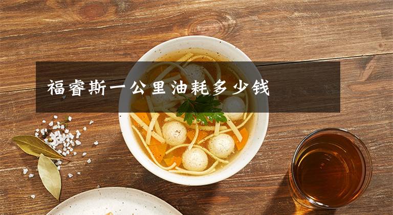 福睿斯一公里油耗多少钱