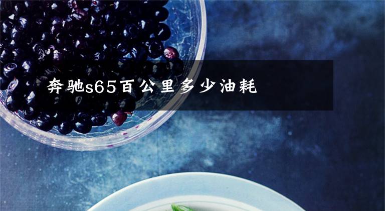 奔驰s65百公里多少油耗