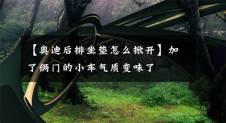 【奥迪后排坐垫怎么掀开】加了俩门的小车气质变味了