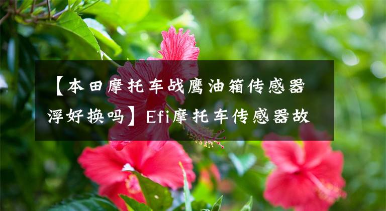 【本田摩托车战鹰油箱传感器浮好换吗】Efi摩托车传感器故障,无法以怠速加油,观察我困难的问题解决过程