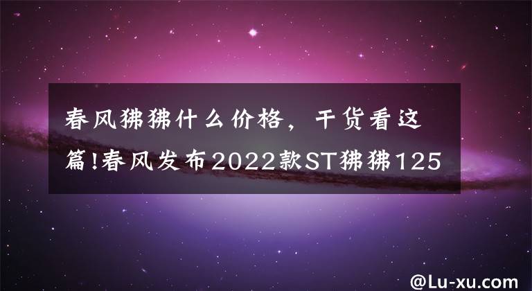 春风狒狒什么价格,干货看这篇!春风发布2022款ST狒狒125,新增深空灰色,售价8980元