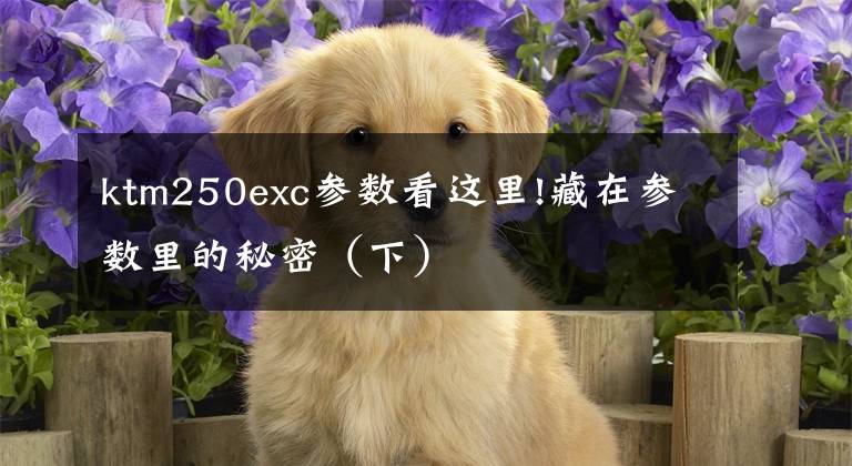 ktm250exc参数看这里!藏在参数里的秘密（下）