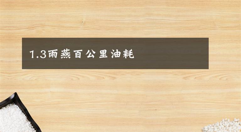 1.3雨燕百公里油耗