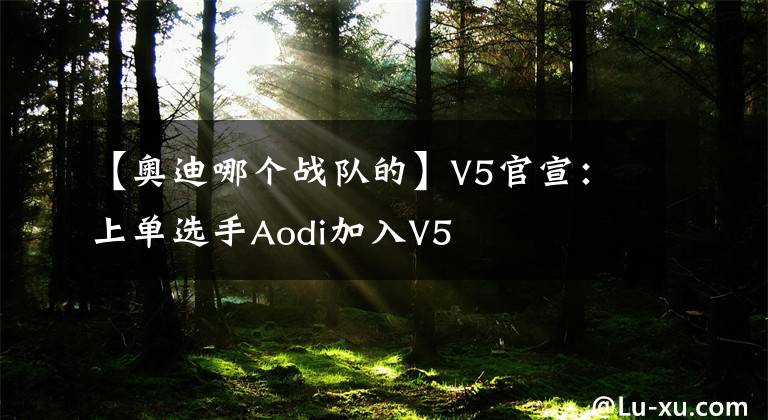 【奥迪哪个战队的】V5官宣：上单选手Aodi加入V5