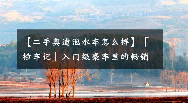 【二手奥迪泡水车怎么样】「检车记」入门级豪车里的畅销款,这台二手奥迪A4L值得买吗?