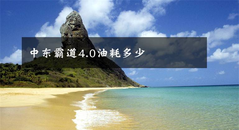 中东霸道4.0油耗多少
