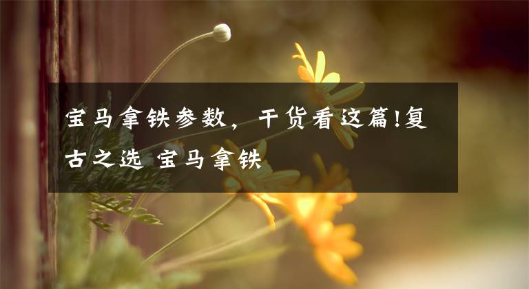 宝马拿铁参数,干货看这篇!复古之选 宝马拿铁