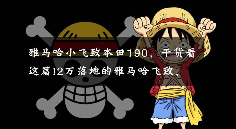 雅马哈小飞致本田190，干货看这篇!2万落地的雅马哈飞致，这性价比，还要啥GW250、DL250，是不是傻