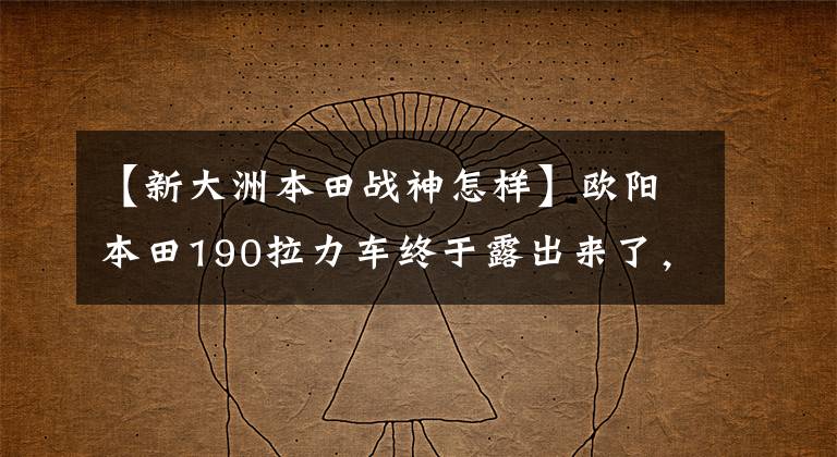 【新大洲本田战神怎样】欧阳本田190拉力车终于露出来了,和新版190X的样子大不相同。