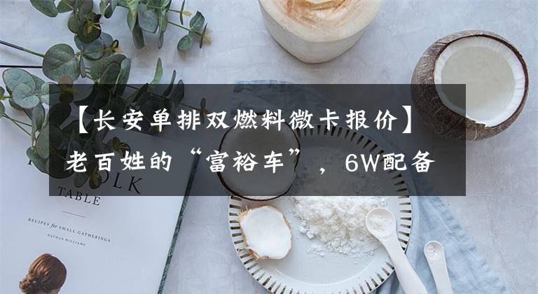 【长安单排双燃料微卡报价】老百姓的“富裕车”,6W配备爱信变速器,一排两排随便选,Starka PLUS