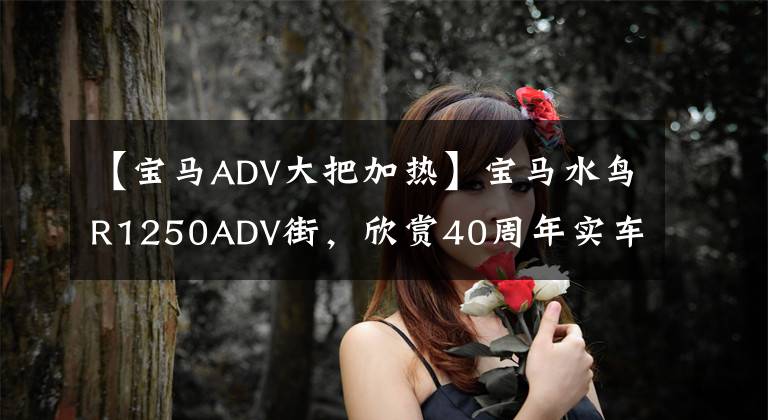 【宝马ADV大把加热】宝马水鸟R1250ADV街,欣赏40周年实车