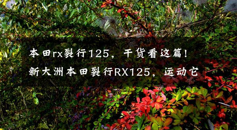 本田rx裂行125,干货看这篇!新大洲本田裂行RX125,运动它也“行”