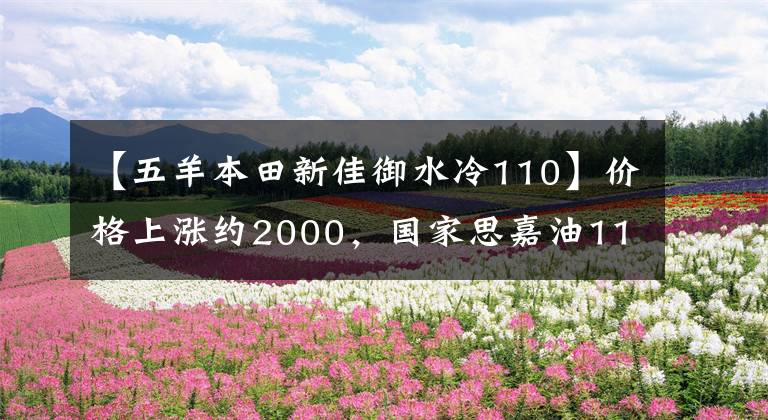【五羊本田新佳御水冷110】价格上涨约2000,国家思嘉油110的5大“诚意”