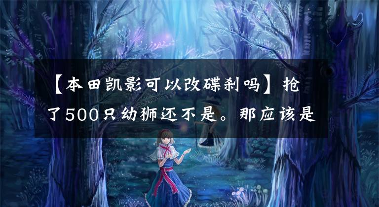 【本田凯影可以改碟刹吗】抢了500只幼狮还不是。那应该是弯曲的横梁风向标。野心真大!