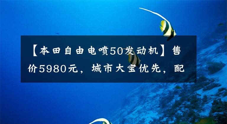 【本田自由电喷50发动机】售价5980元，城市大宝优先，配电喷雾发动机，100公里油耗不到2L！