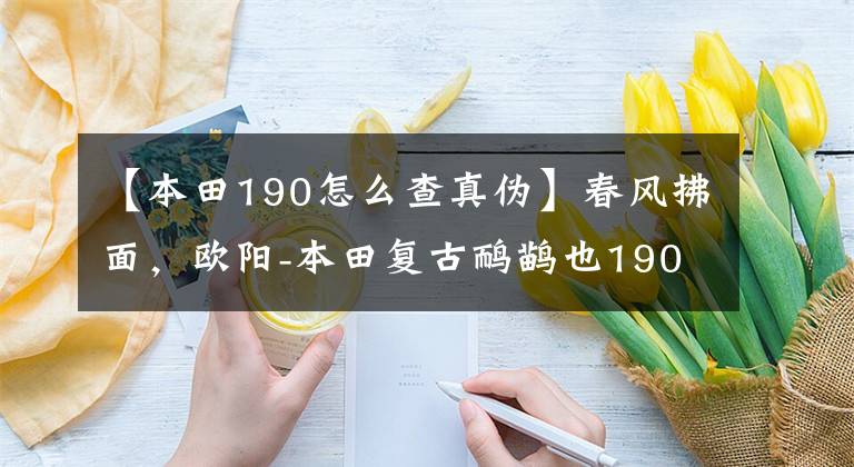 【本田190怎么查真伪】春风拂面，欧阳-本田复古鸸鹋也190