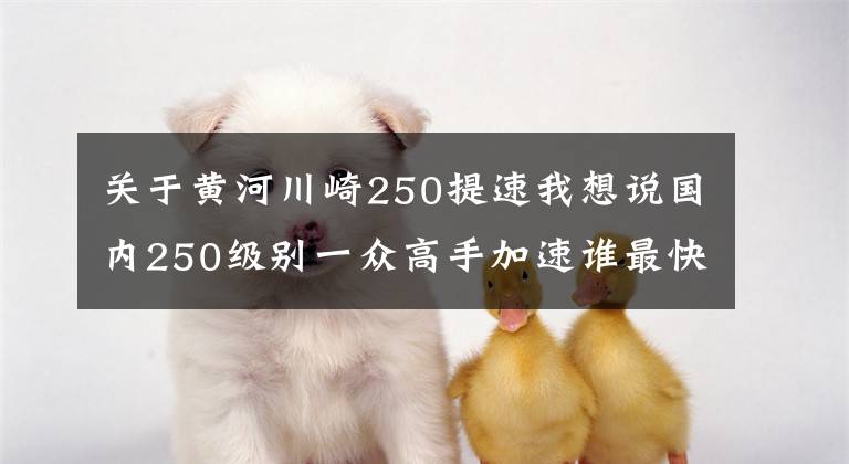 关于黄河川崎250提速我想说国内250级别一众高手加速谁最快?结果不出所料