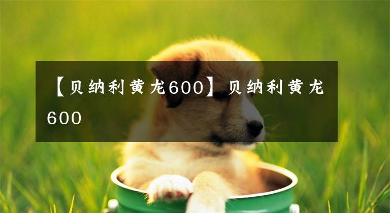 【贝纳利黄龙600】贝纳利黄龙600