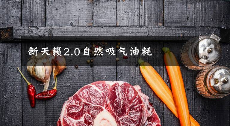新天籁2.0自然吸气油耗