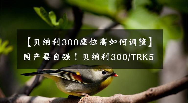 【贝纳利300座位高如何调整】国产要自强!贝纳利300/TRK502远距离体验报告