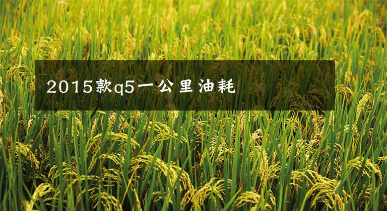 2015款q5一公里油耗